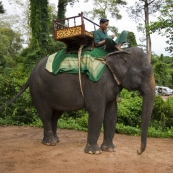 One way to see some of the Angkor temples