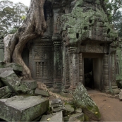 Ta Prohm: the jungle temple