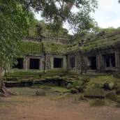 Ta Prohm: the jungle temple