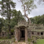 Ta Prohm: the jungle temple