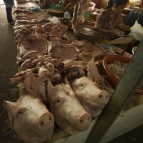 The markets in Siem Reap