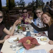 The girls having afternoon drinks