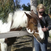 Andrea (the bride) and one of the horses