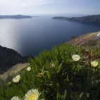 Looking north toward Oia from Imerovigli