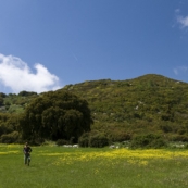 Lisa in a field of wildflowers hiking between Strinilas and Moni Pantokratora