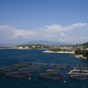Aquaculture and Kassiopi in the distance