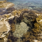 Tide pools at the northern end of Glyfada Beach