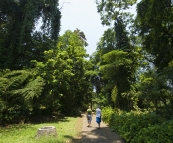 Lisa and Sophie in the Bogor Botanic Gardens