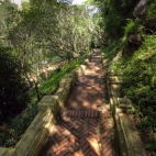 The more than 300 steps through the lush rainforest up to That Chomsi