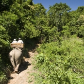 Riding through the Laos jungle