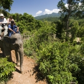 Riding through the Laos jungle