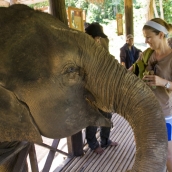 Lisa feeding Mai San some bananas