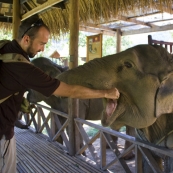 Sam feeding Mai San some bananas