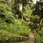 Almost vertical steps into Thamchang Cave