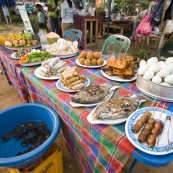 Some of the foods on offer at the stalls alongside the Mekong (those are live frogs in the blue bucket)