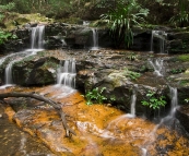 Lamington National Park: cascades along the track to Ballanjui Falls