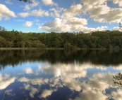 Poona Lake in Great Sandy National Park