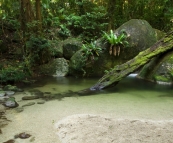 Wurrmbu Creek in Mossman Gorge