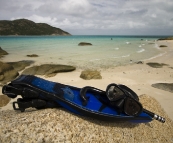 Snorkeling at Loomis Reef