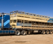 Huge cattle road trains at the Burke and Wills Roadhouse