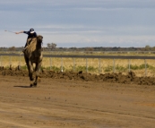 The Bedourie Camel Races