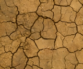 The edge of the Simpson Desert