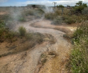 Piping hot pressurised water at the Cacoory Bore north of Birdsville