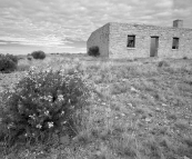 The Cacoory Ruins north of Birdsville