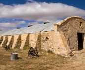 Australia's largest shearing shed at Cordillo Downs