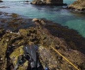 Gear at the ready for a swim at Tomakin