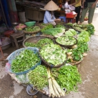 The Hoi An central market