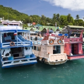 Boats in the harbor at Mae Haad Village