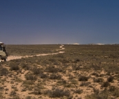 The arid expanse of Ningaloo Station with goats and sheep to the right
