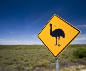 Nambung National Park