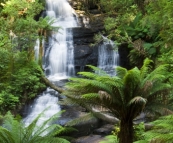 Triplet Falls in the Otway Ranges