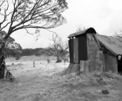 Howitt Plains Hut