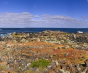 The coastline north of the main town of Currie