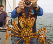 Sam holding a four kilogram crayfish