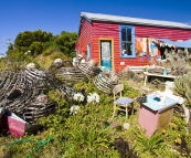 Caroline's Pottery on King Island