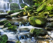 Nelson Falls in Cradle Mountain-Lake Saint Clair National Park