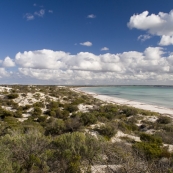 The beach and dunes at Hardwicke Bay