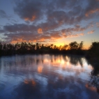 Sunrise at Dalhousie Springs