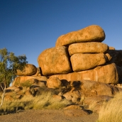 The Devil's Marbles