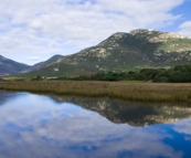 Todal River and Mount Oberon