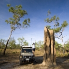 The biggest termite mound we saw in Litchfield National Park