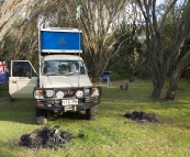 Camping at Kylies Beach