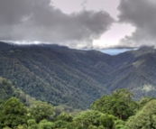 Looking across Dorrigo National Park toward Coffs Harbour in the distance