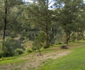 Camping at Platypus Flat in Nymboi Binderay National Park