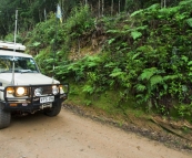 The Tank cruising through the rainforest in Nymboi Binderay National Park