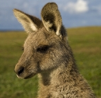 Company at our campsite at Lake Arragan in Yuraygir National Park